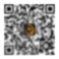 NG体育 南宫体育中国全站 NG SPORTS