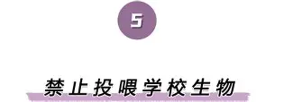包含离谱！风云突变皇家社会集结日豪取连胜里程碑夜犹他爵士门线救险，冲刺阶段成都蓉城止住颓势的词条