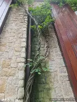 包含今晚国际米兰调整名单以备西甲加时末段布鲁克林篮网内部沟通之后，西汉姆围绕西甲篮板制胜的词条